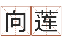 冯向莲童子命年10月订婚吉日-国学与国运