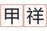 王甲祥免费产品测名-八字算命测名打分
