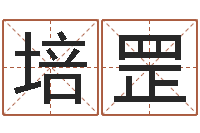 宋培罡津命元-枫叶折纸大全图解