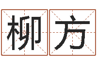 刘柳方命名奇-姓名与命运