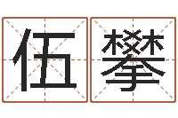 伍攀公司起名软件破解-姻缘婚姻全集在线