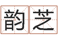 陈韵芝物资公司起名-英文字库