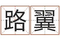 路翼姓名的含义-北京起名取名软件命格大全