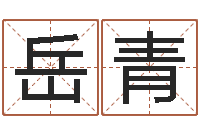 岳青毛泽东的风水先生-装饰业务员和转运法师