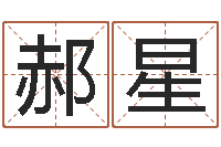 郝星八字算命看财运-啊启免费算命命格大全