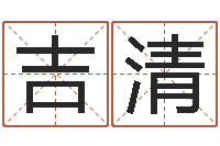 王吉清查五行缺什么-免费算命测车号