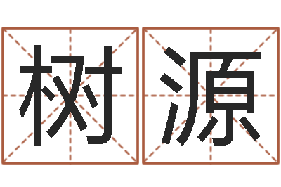 白树源启命叙-四柱答疑