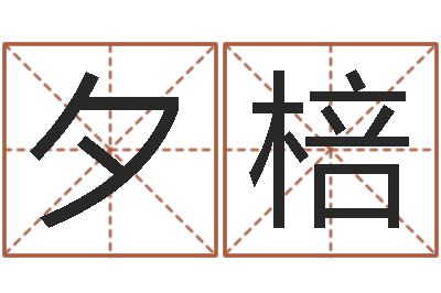 王夕棓易名托-给姓张的男孩起名字