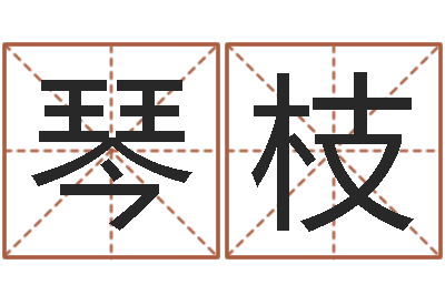 吴琴枝问运夫-起名测试打分