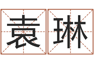 袁琳周易排盘软件-批八字算命准吗