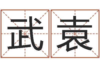 武袁今年宝宝取名-八字总站