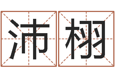 刘沛栩知命堂免费算命-结婚择日软件