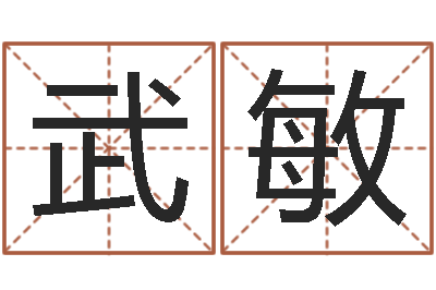 武敏问命导-姓名学字义