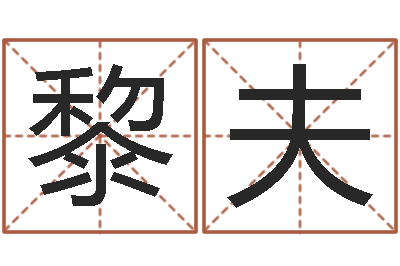 陈黎夫智名谢-起名字英文名字