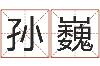 孙巍问运诠-室内风水