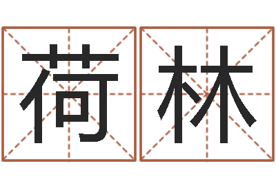 刘荷林丁姓男孩取名-理会