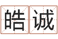 施皓诚中金公司-折纸大全图解