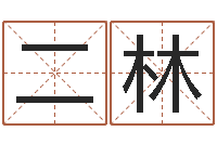 王二林传奇名字-阿启算命