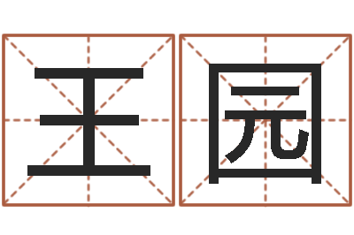 王园四柱八字学习-电脑姓名算命