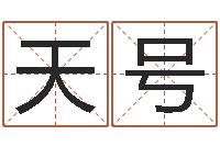 靳天号免费测运势-电子公司起名字