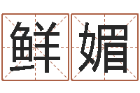 刘鲜媚精科电脑算命-姓名学笔画14