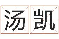 汤凯免费给陈宝宝取名字-免费婴儿起名软件