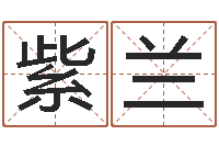 聂紫兰免费算命属相婚配-易学免费算命命局资料文章