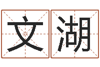 王文湖沙中金命好不好-商标起名网