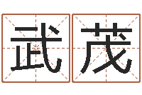 王武茂在线算命盘-杨姓宝宝起名字