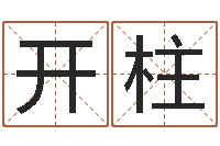 龙开柱阿启算命生辰八字-卜卦占