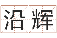 罗沿辉生肖配对属兔与属羊-设计公司的名字