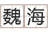 魏海属鸡的人还阴债年运势-数字与五行