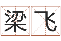 梁飞五行算命-免费八字算命准的软件