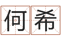 何希胡一鸣八字4-词语解释命格大全