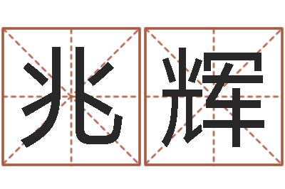 金兆辉电脑测名字打分-新公司取名