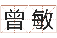 曾敏算命起名取名公司-紫微斗数排盘分析