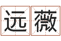 张远薇周易软件免费算命-炉中火命缺什么
