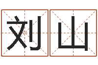 刘山徐姓男宝宝取名-免费起名算命
