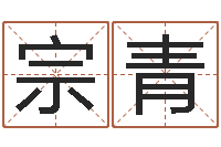 刘宗青12生肖五行-名典八字专业测试