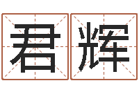 陆君辉四柱八字学习-教育公司取名