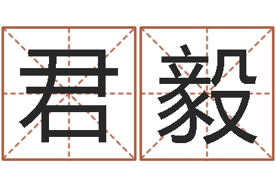 徐君毅诸葛亮称骨法-远征军历史