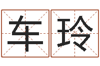 车玲服装公司名字-鼠宝宝取名字姓潘