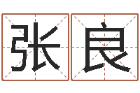 张良枕着你的名字入眠-心理学算命书籍