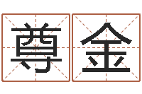 杨尊金免费宝宝取名字-姓名笔画总数算命