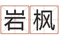 张岩枫风水总站-公司取名大全