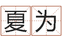 夏为世界周易研究会会长-还受生钱属蛇流年运程