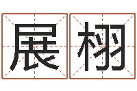 展栩外贸公司取名-改命总站