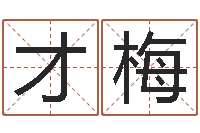 柯才梅车牌号码吉凶预测-公司起名算命