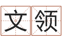 蒙冯文领冒险岛名字-买房子风水