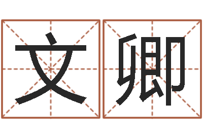 肖文卿服务型公司起名-名字分数测试